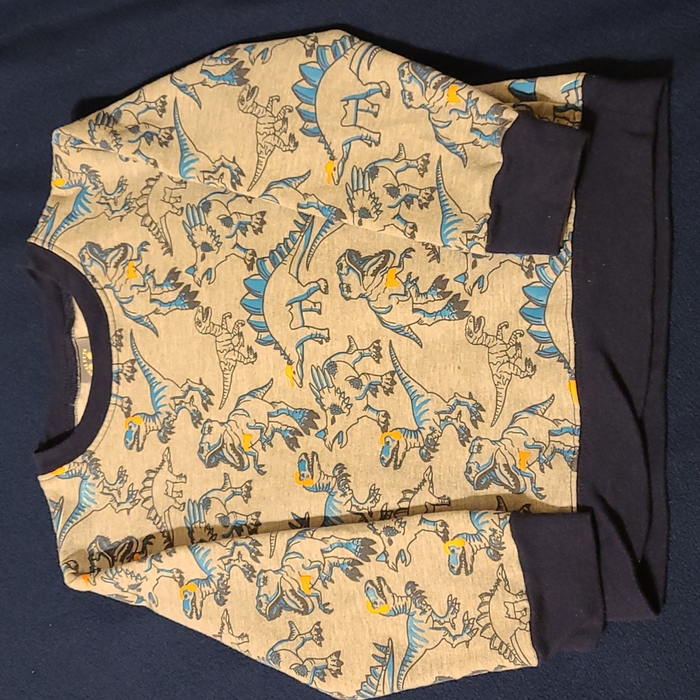 Dinosaur Sweater 🦕 🦖